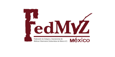 Colaborador 25
